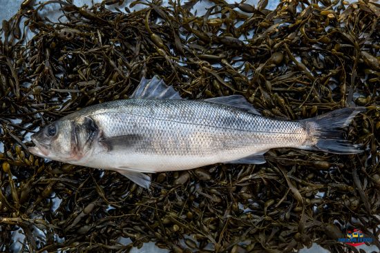 Bar commun Cobrenord